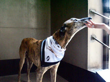 Kép betöltése a galériamegjelenítőbe: The Frakk Scarf