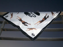 Kép betöltése a galériamegjelenítőbe: The Frakk Scarf